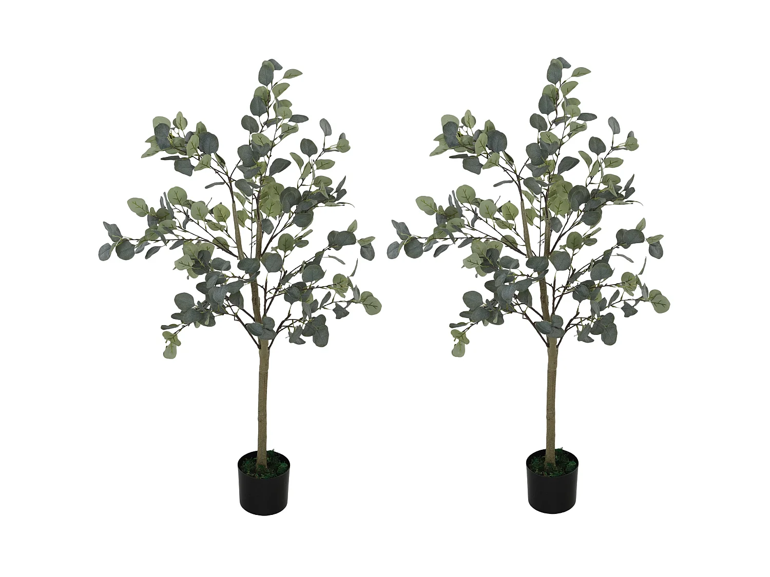 Sulu Set of 2 Artificial Eucalyptus Trees with Silver Dollar Leaves in Pots