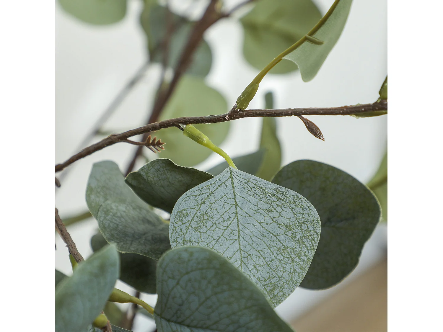 Sulu Set of 2 Artificial Eucalyptus Trees with Silver Dollar Leaves in Pots