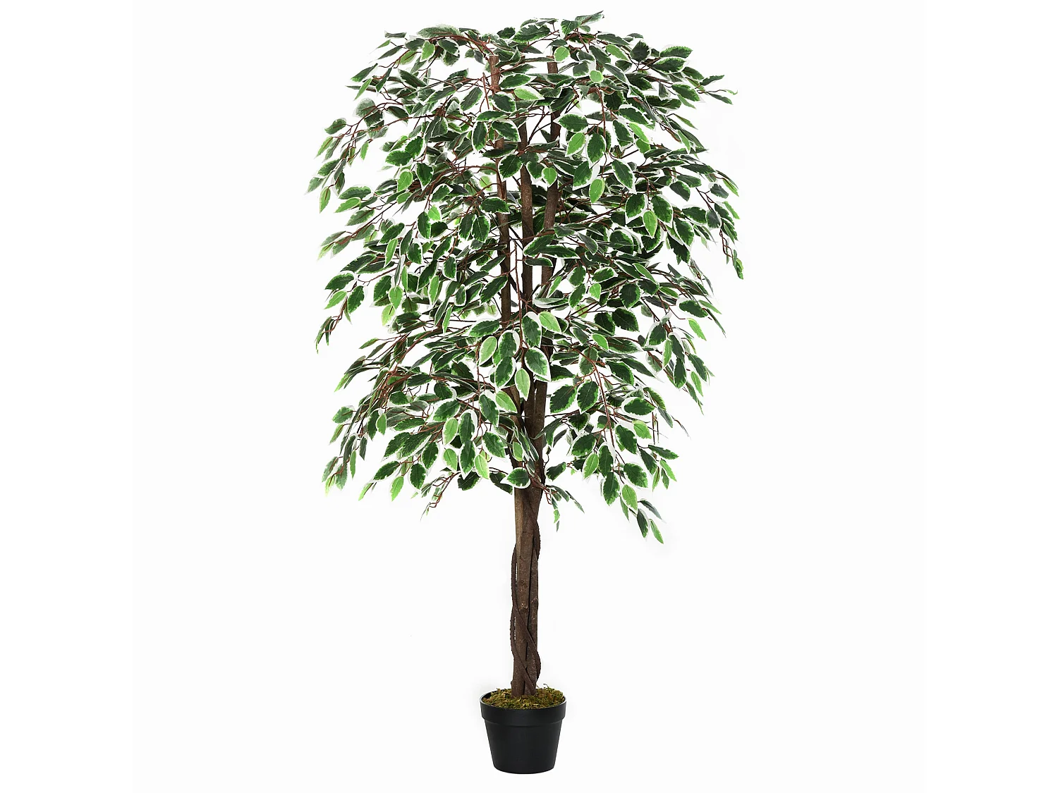 Keco Yona Artificial Ficus Indoor Plant in Decorative Pot 160cm