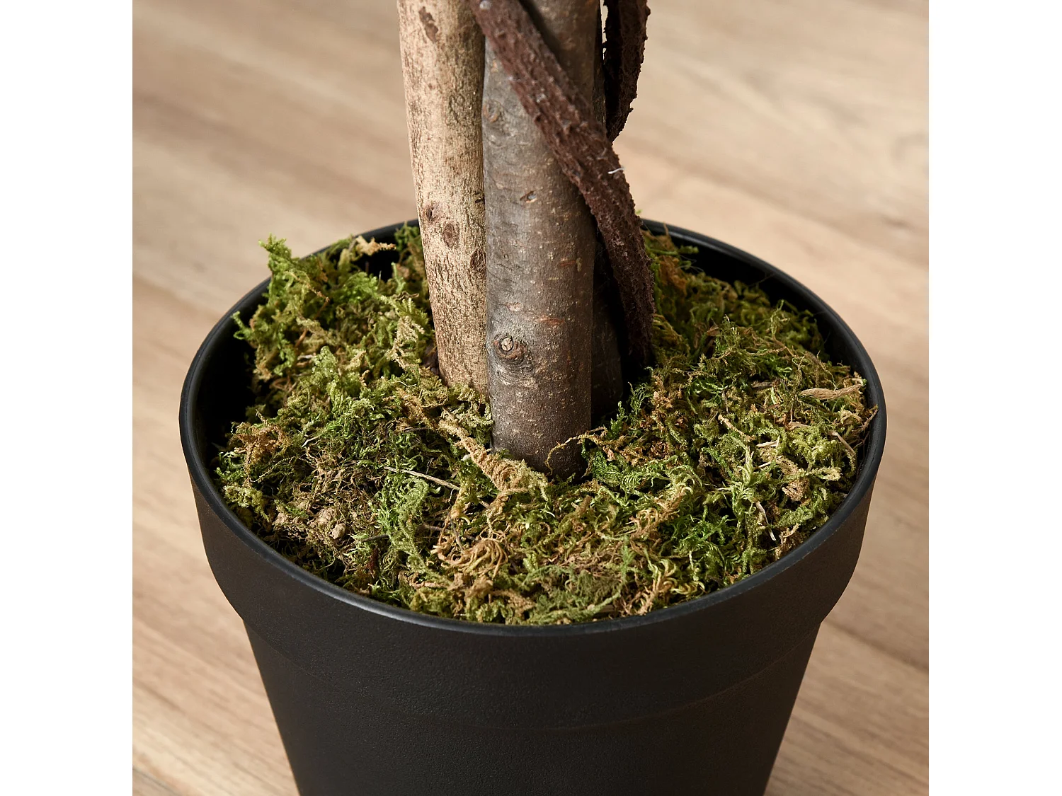 Keco Yona Artificial Ficus Indoor Plant in Decorative Pot 160cm