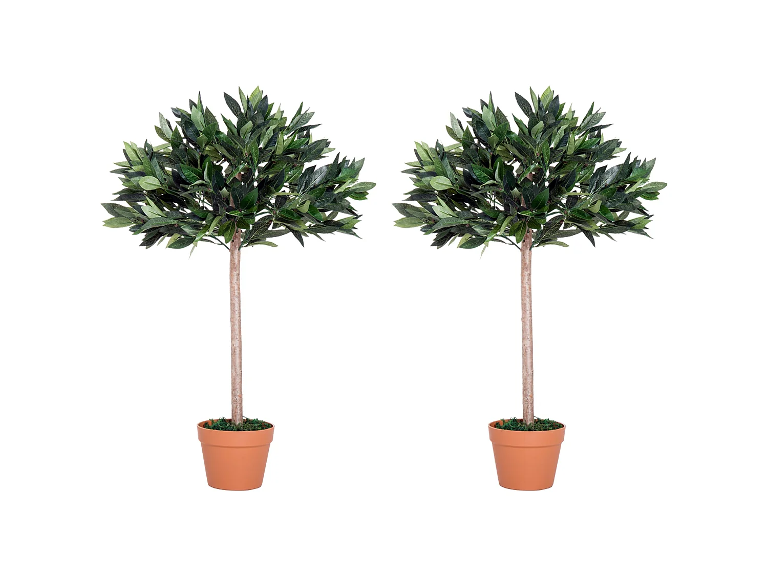 Miva Set of 2 Artificial Olive Trees with Orange Pots 104cm