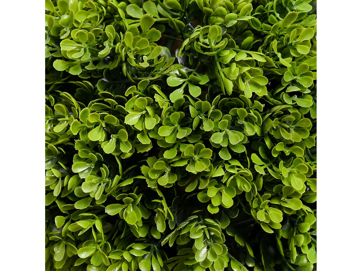 Sassafa Set of 2 Light Green Artificial Boxwood Ball Topiary Trees in Weighted Pots 90cm