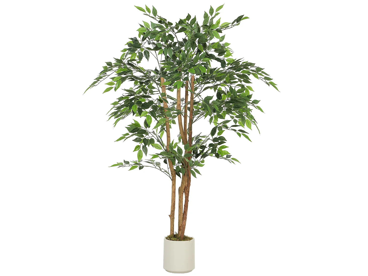 Faluta Artificial Ficus Tree 150cm Real Touch Leaves Solid Wood Trunk in White Pot