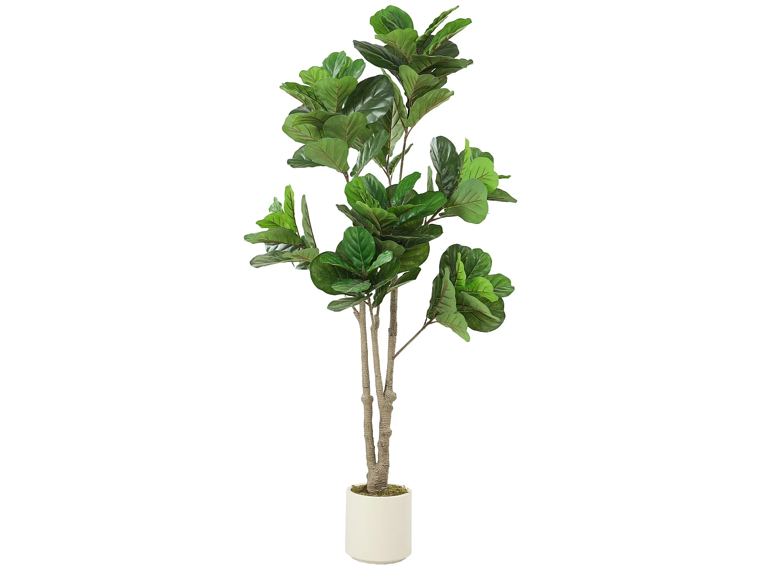 Pararale Artificial Fiddle Leaf Fig Tree 180cm Broad Green Leaves
