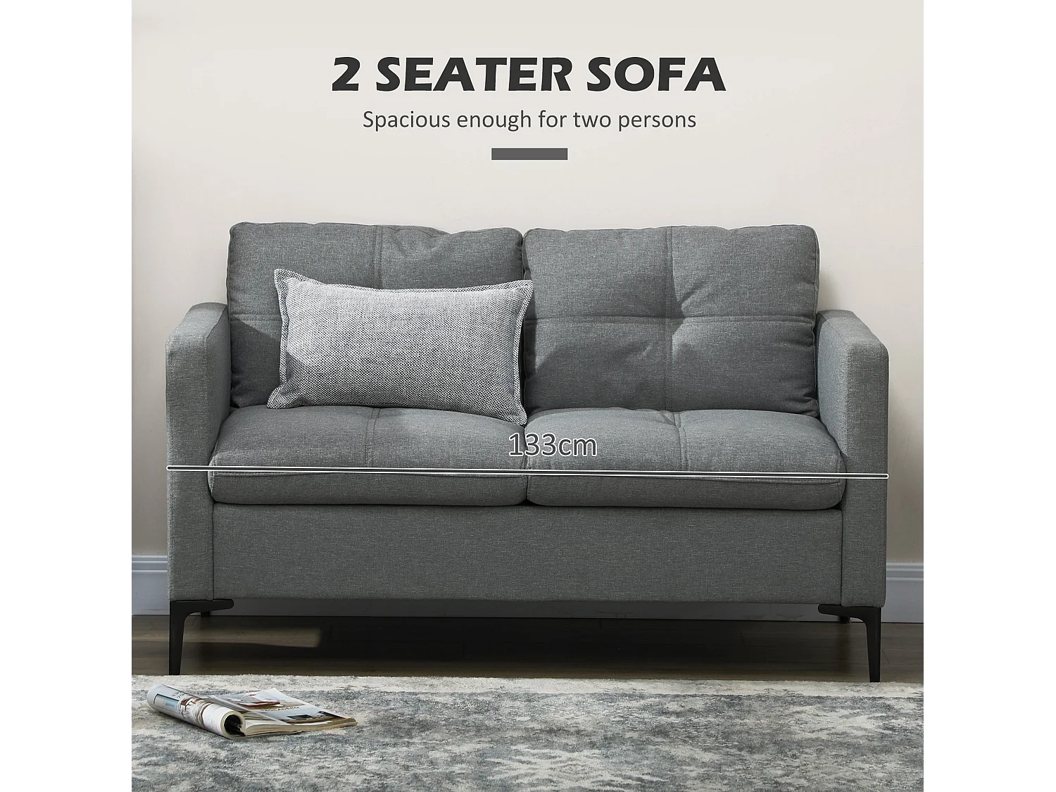 Malala Minimalist Grey 2 Seater Sofa with Steel Legs
