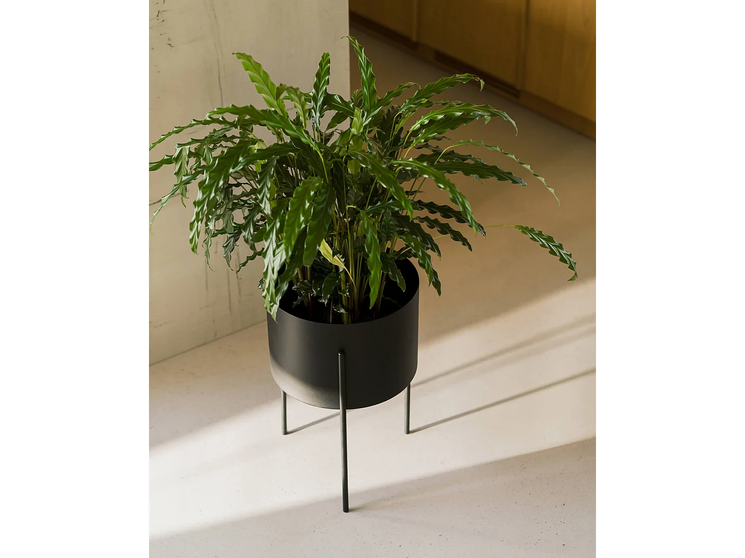 Pot de fleurs Maki - large