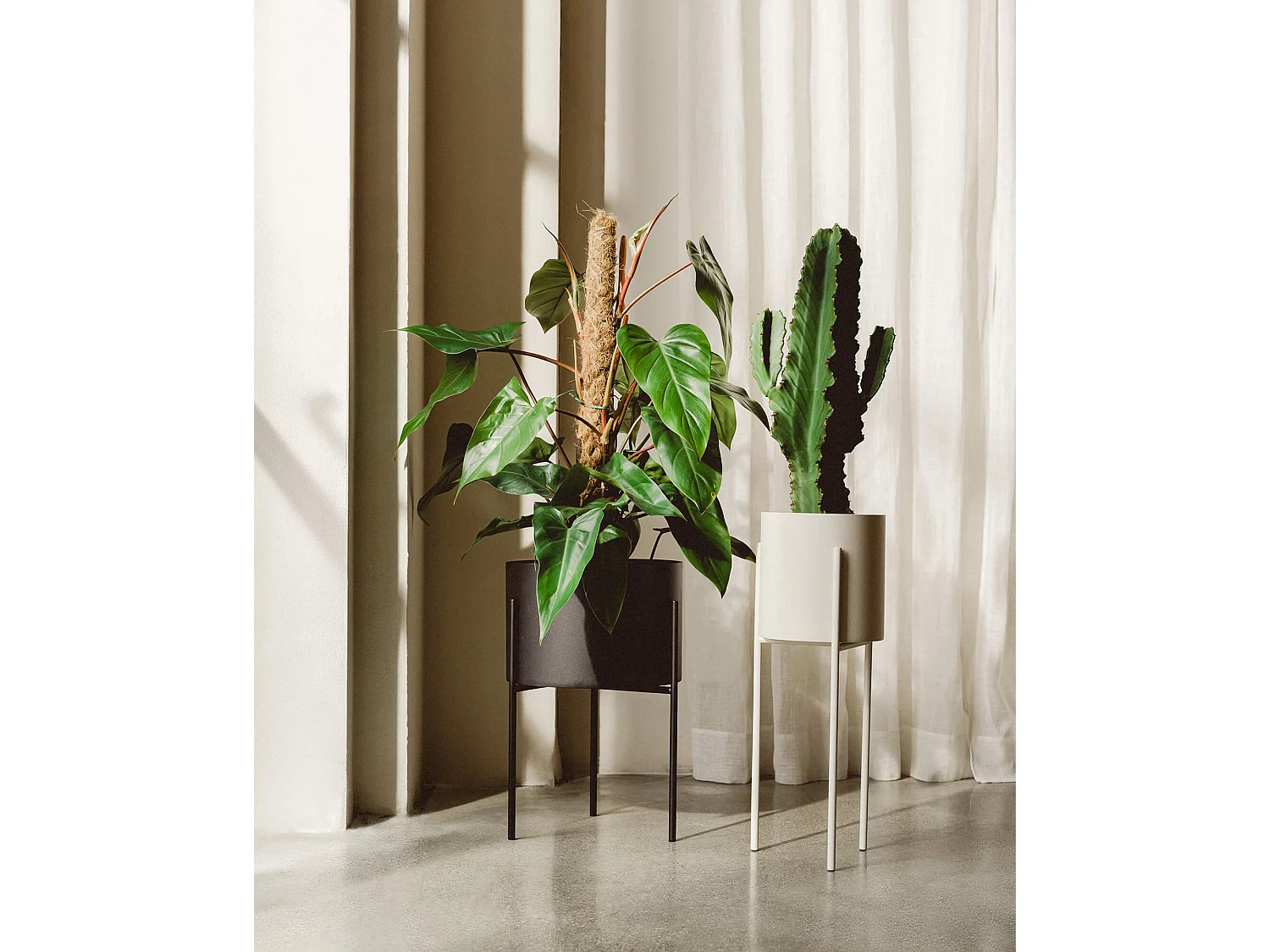 Pot de fleurs Maki - large