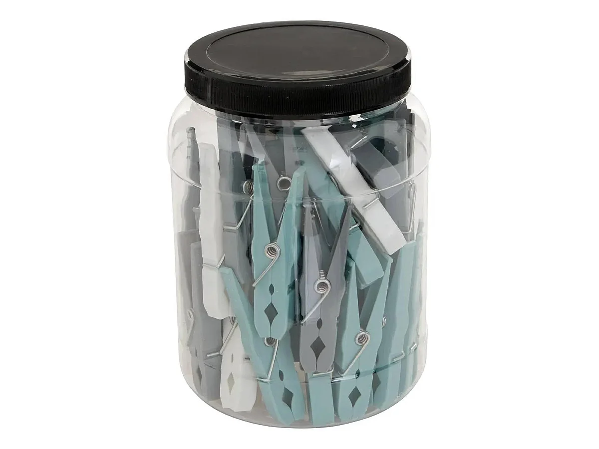 Boîte de 50 Pinces à Linge 7cm Multicolore