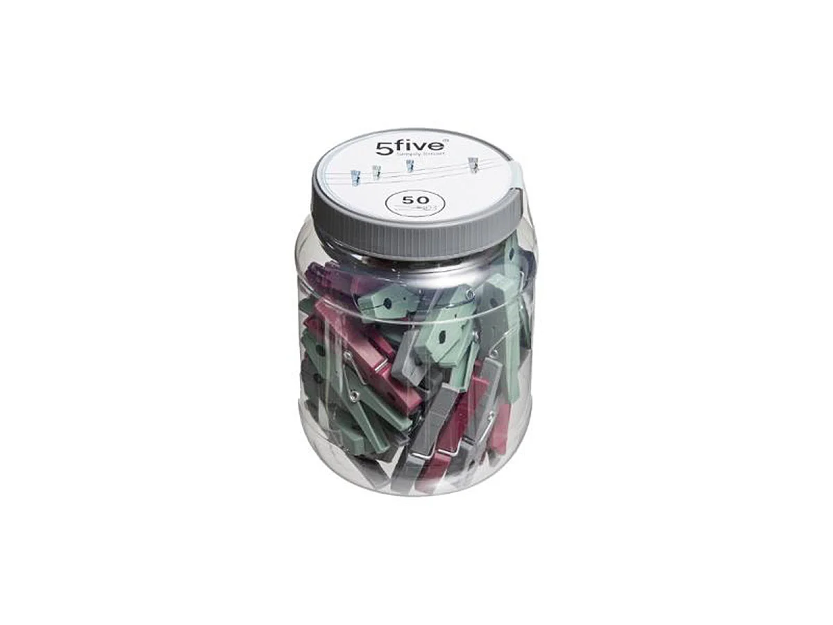 Boîte de 50 Pinces à Linge 7cm Multicolore