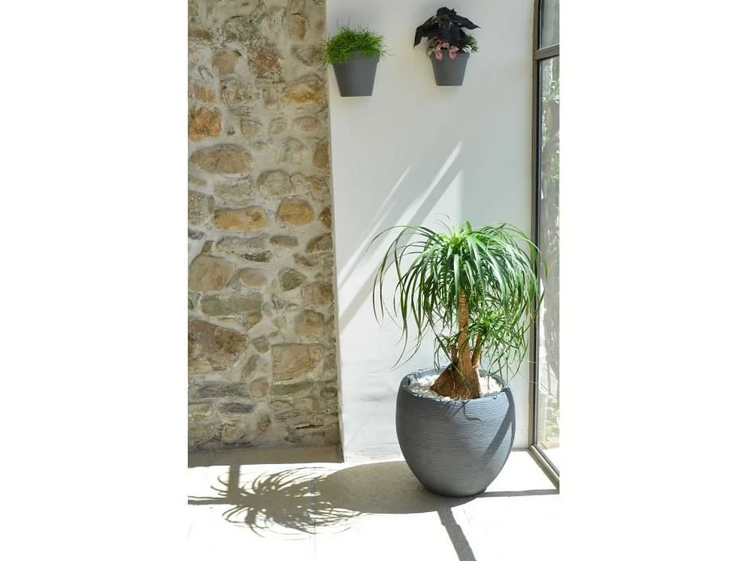 EDA PLASTIQUE Graphit Runder Topf - 46L Kapazität - Ø50cm x 45cm - Anthrazitgrau