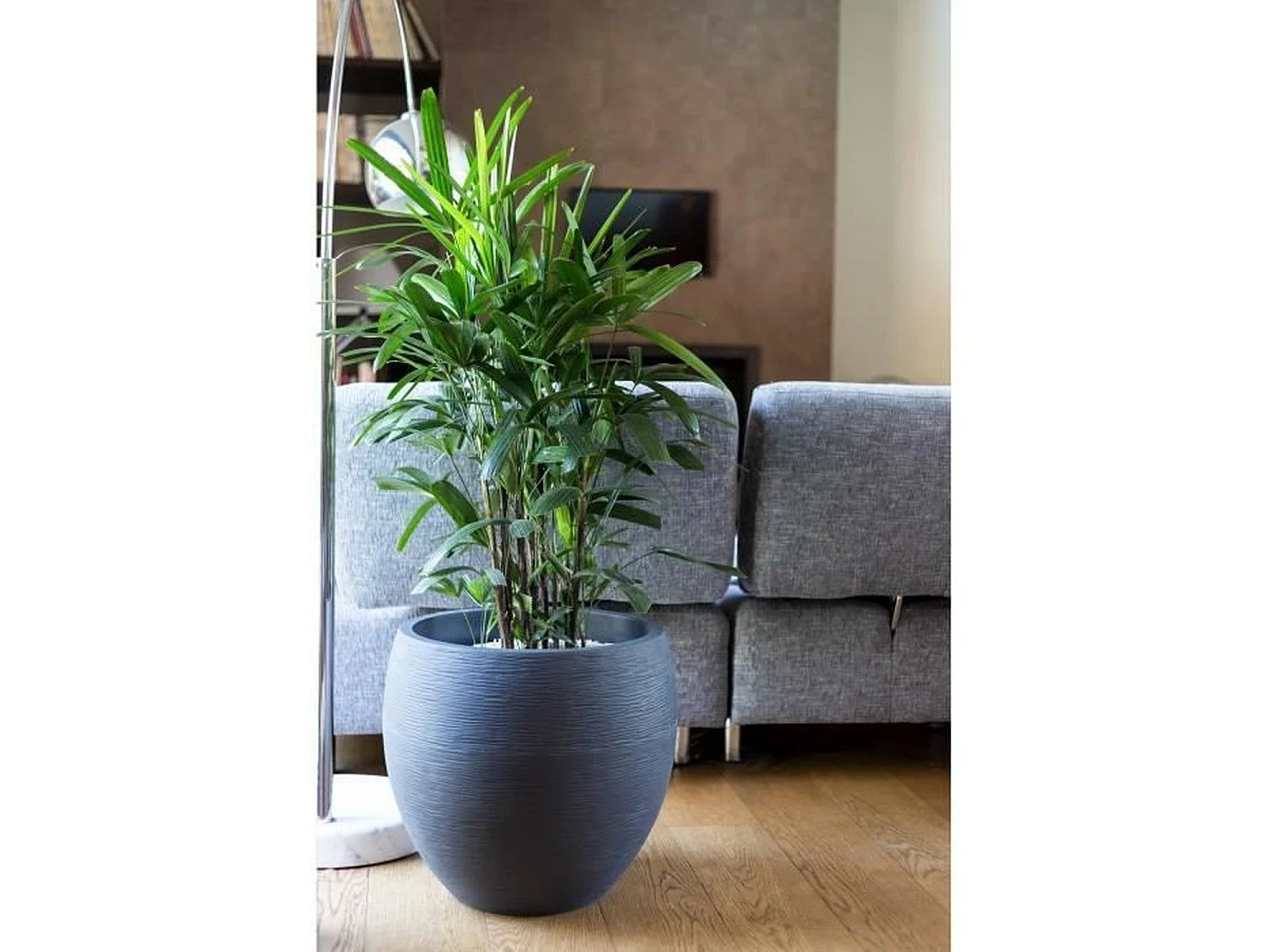EDA PLASTIQUE Graphit Runder Topf - 46L Kapazität - Ø50cm x 45cm - Anthrazitgrau