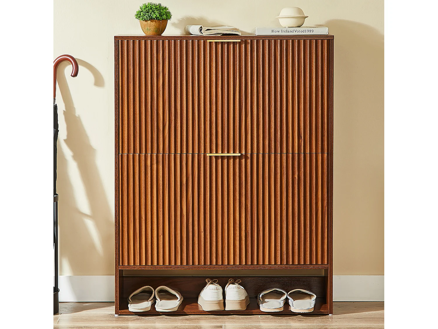 Meuble à chaussures 80x24x102 cm avec 2 abattants - Marron