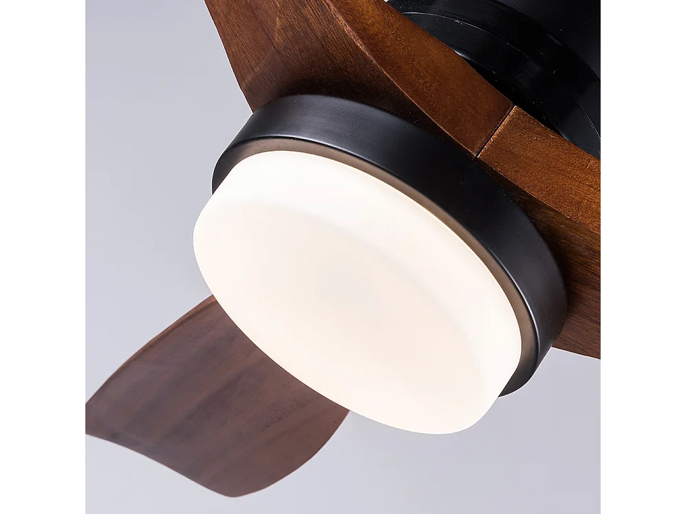 Ventilateur de plafond avec éclairage, télécommande, 3 pales en bois et minuterie à 6 vitesses