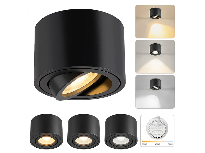 NETTLIFE Set van 4 Zwarte LED Inbouwspots, Plafondlamp Dimbaar CCT 3000K-6500K, Ø80x50mm Extra Plat Aluminium, Draaibaar 30°, Plafondlamp