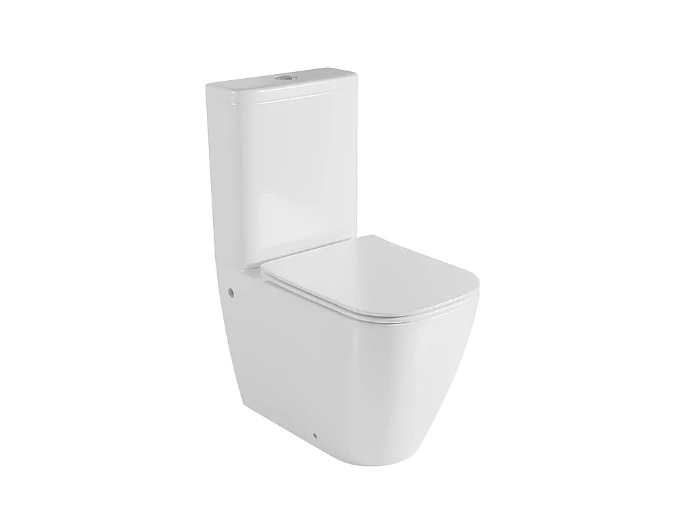 Compleet Whirlflush Toilet Tegen de Muur | Ultradunne Soft Close Toiletzitting met Easy Click | Glanzend Wit