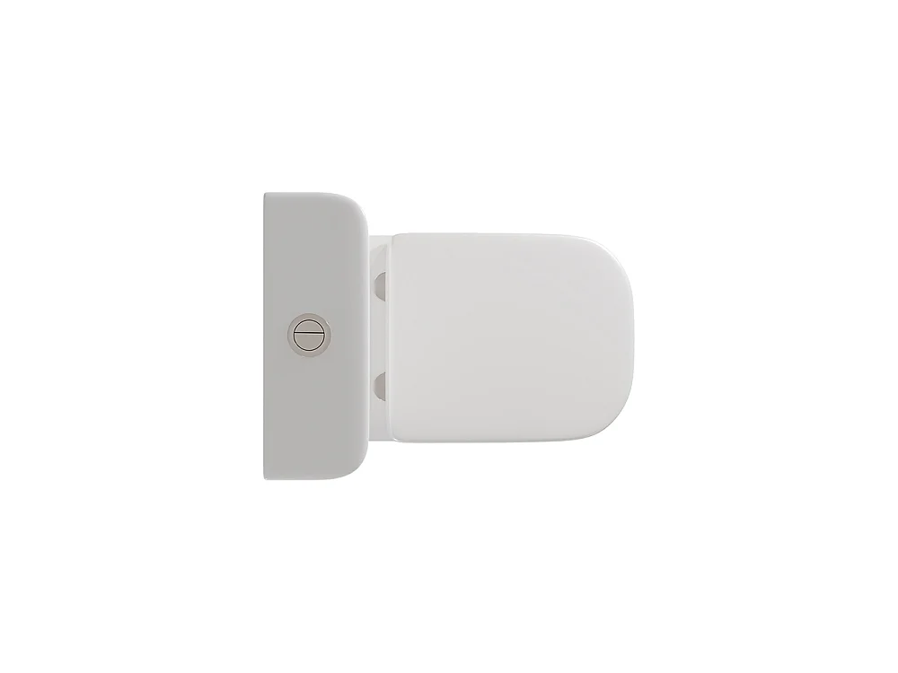 Compleet Whirlflush Toilet Tegen de Muur | Ultradunne Soft Close Toiletzitting met Easy Click | Glanzend Wit