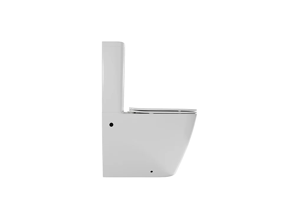 Compleet Whirlflush Toilet Tegen de Muur | Ultradunne Soft Close Toiletzitting met Easy Click | Glanzend Wit