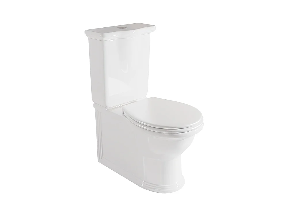 Compleet Rimless Toilet Tegen de Muur | DM/ABS Soft Close Toiletzitting | Inclusief Reservoir | Glanzend Wit