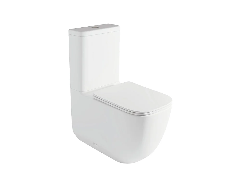 WC Complet Adossé au Mur Whirlflush | Abattant Extra-Fin en Duroplast avec Fermeture Amortie et Déclipsage Rapide | Blanc Brillant