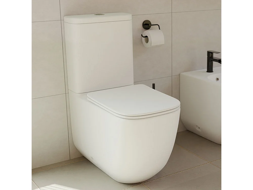 WC Complet Adossé au Mur Whirlflush | Abattant Extra-Fin en Duroplast avec Fermeture Amortie et Déclipsage Rapide | Blanc Brillant