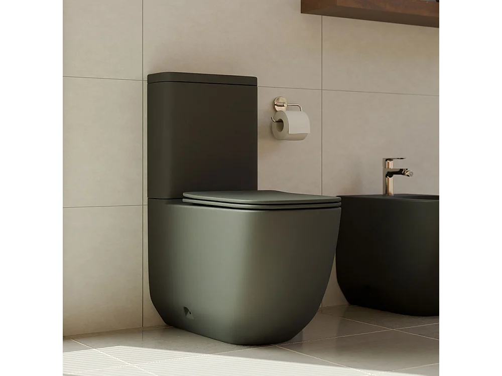 WC Complet Adossé au Mur Whirlflush | Abattant Extra-Fin en Duroplast avec Fermeture Amortie et Déclipsage Rapide | Noir Mat