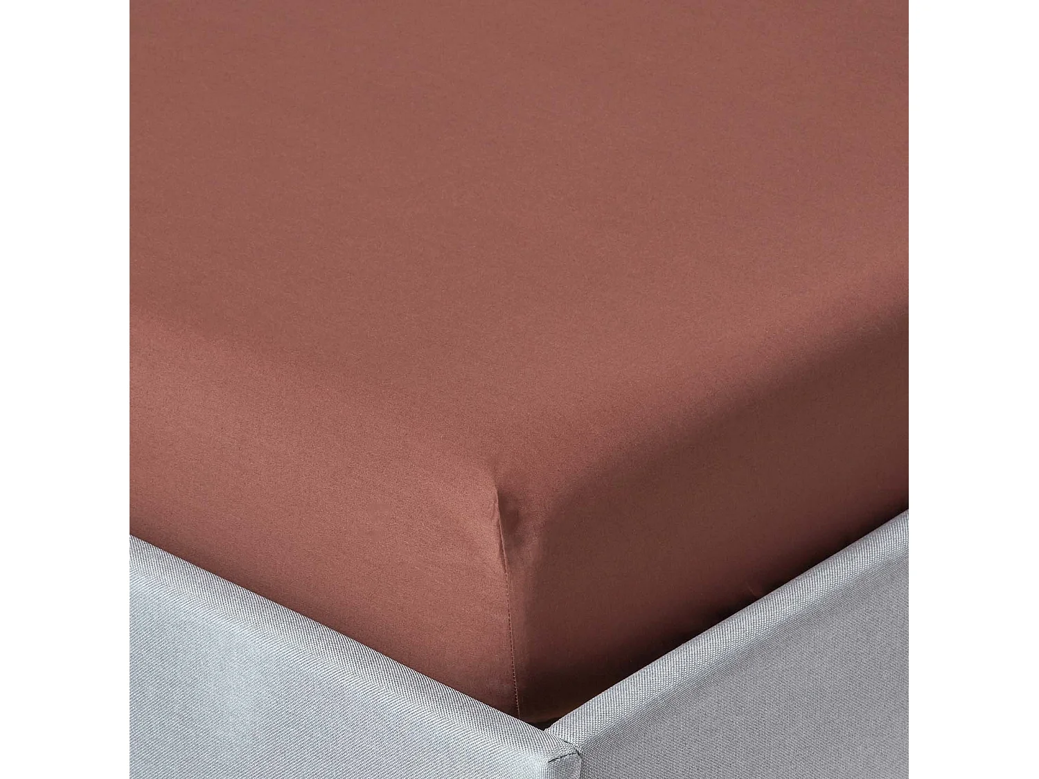 Homescapes Chocolate Egyptian Cotton Deep Fitted Sheet 200 TC, Single