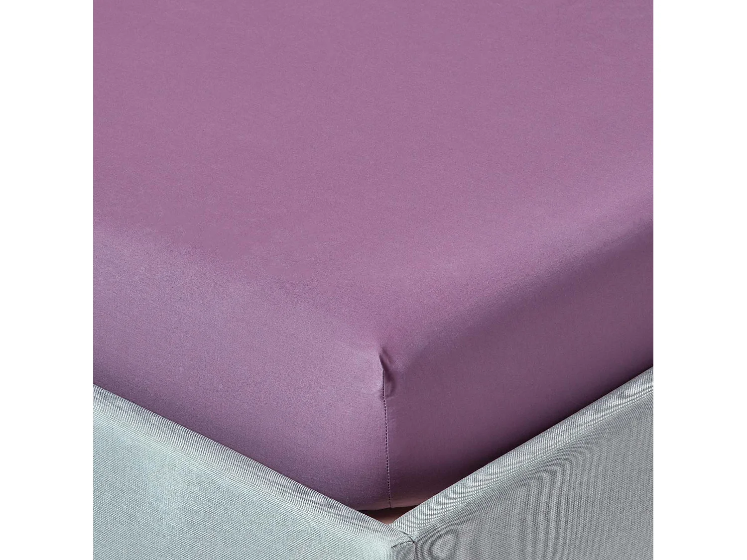 Homescapes Grape Egyptian Cotton Deep Fitted Sheet 200 TC, Single