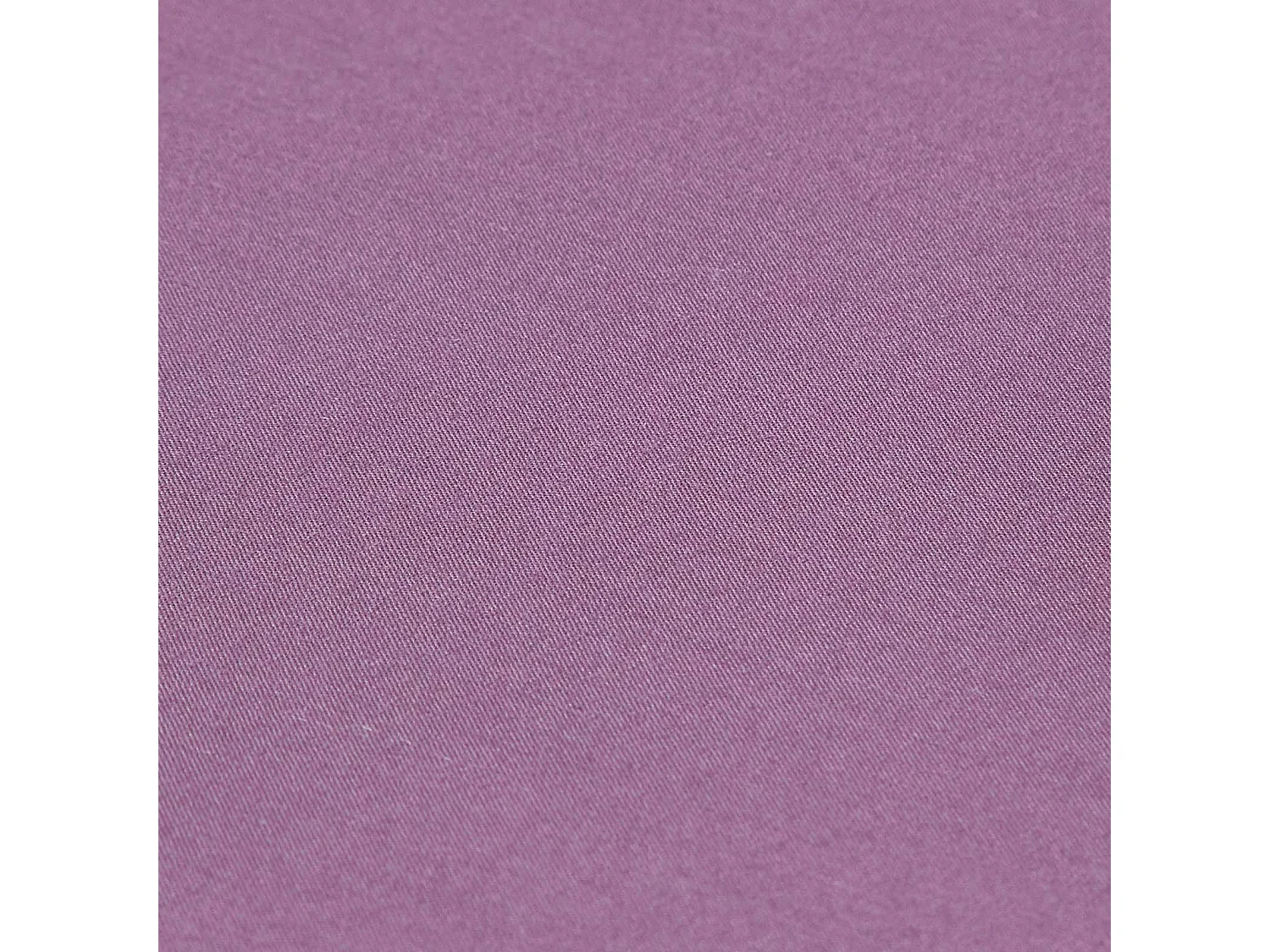 Homescapes Grape Egyptian Cotton Deep Fitted Sheet 200 TC, Single