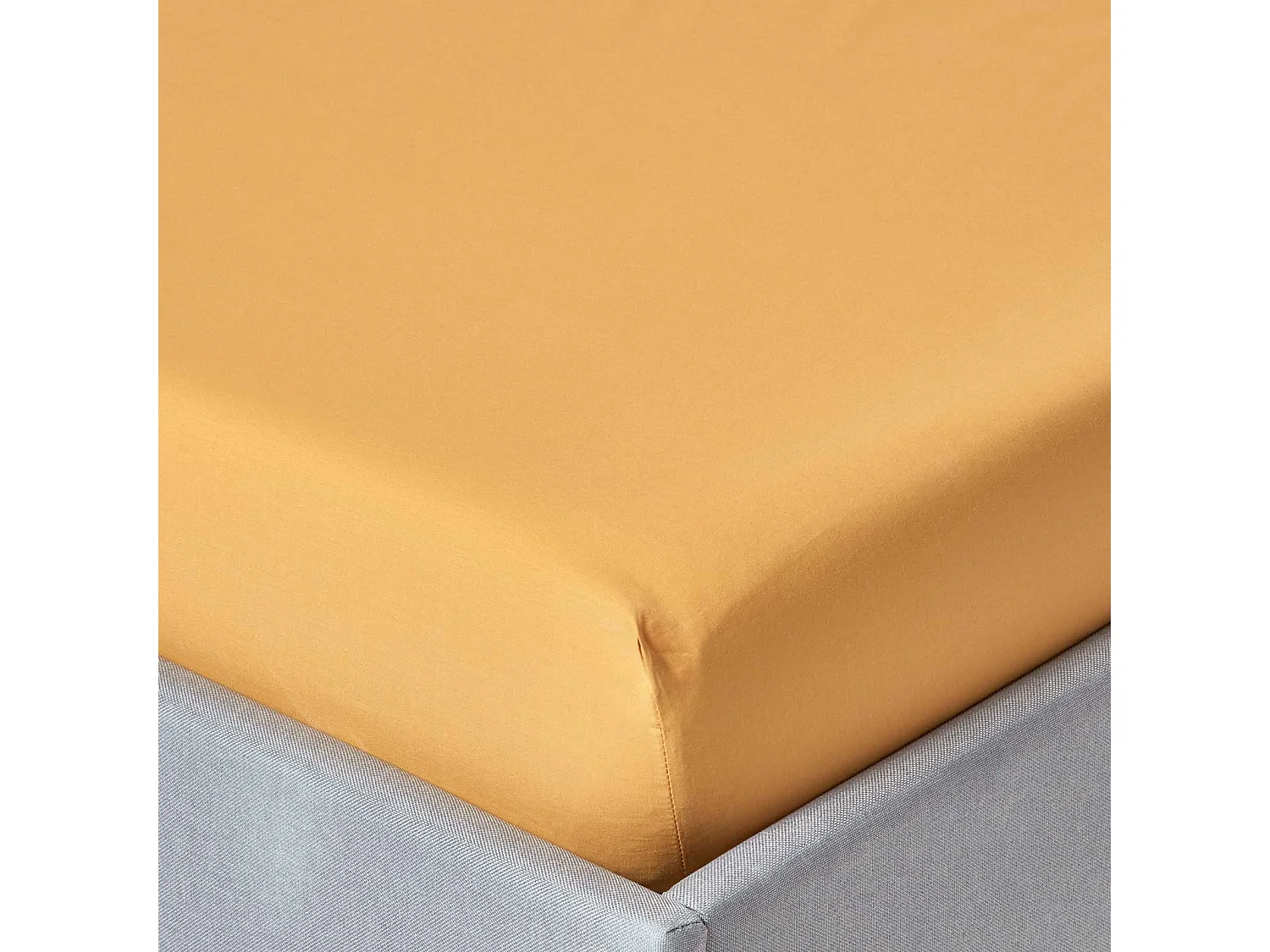 Homescapes Mustard Yellow Egyptian Cotton Fitted Sheet 200 TC, Single