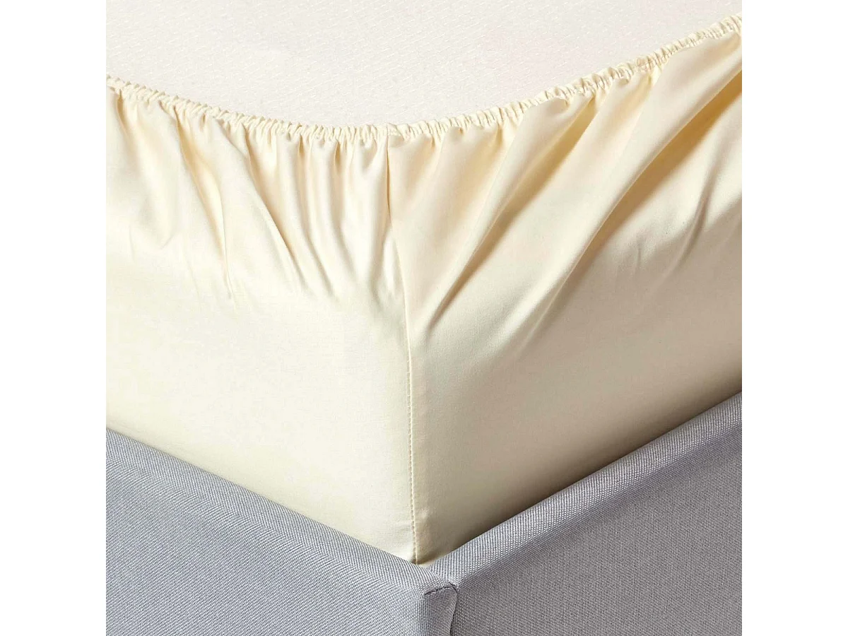 Homescapes Cream Egyptian Cotton Fitted Sheet 1000 TC, Small Double