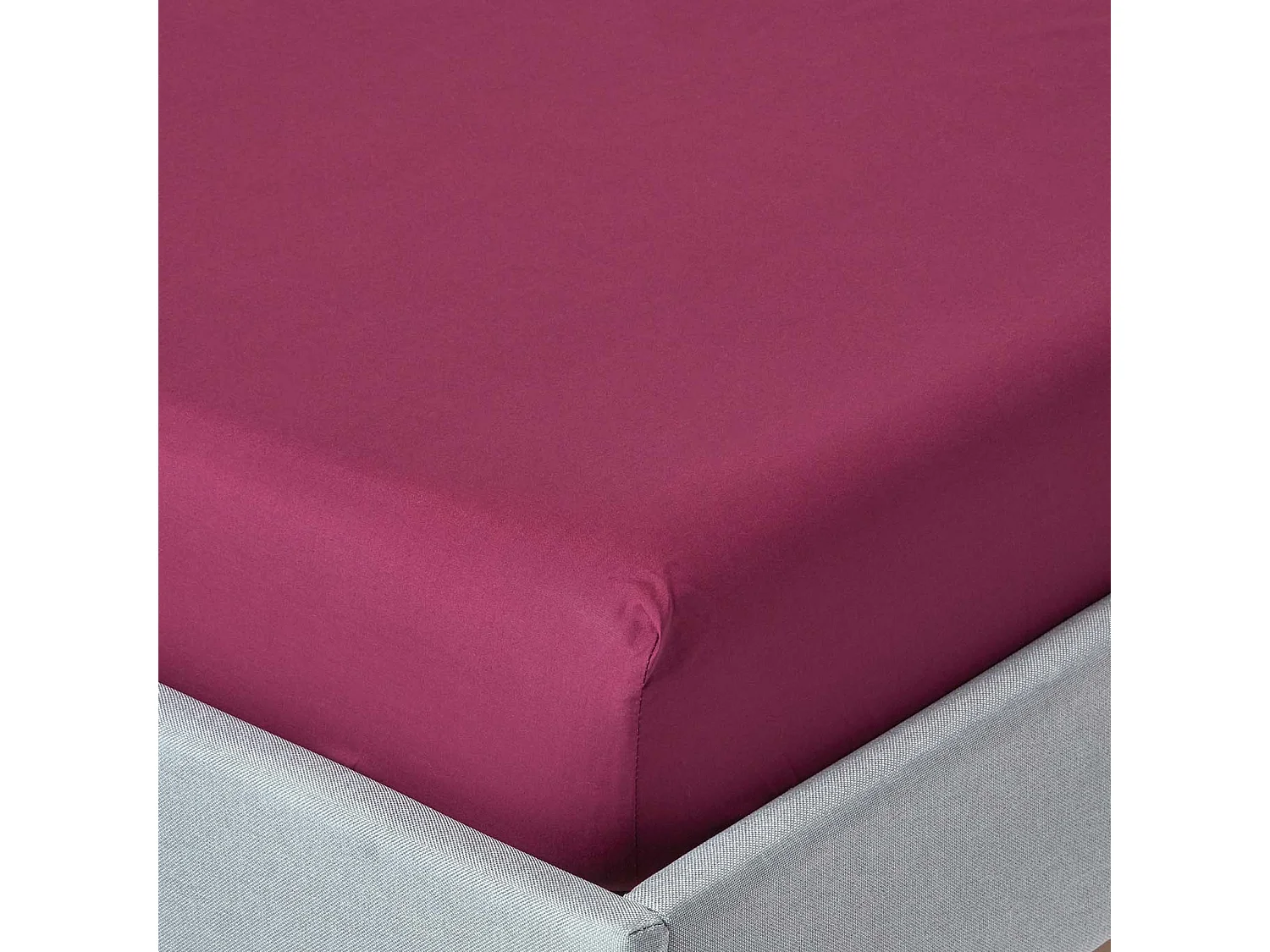 Homescapes Plum Egyptian Cotton Fitted Sheet 200 TC, Small Double
