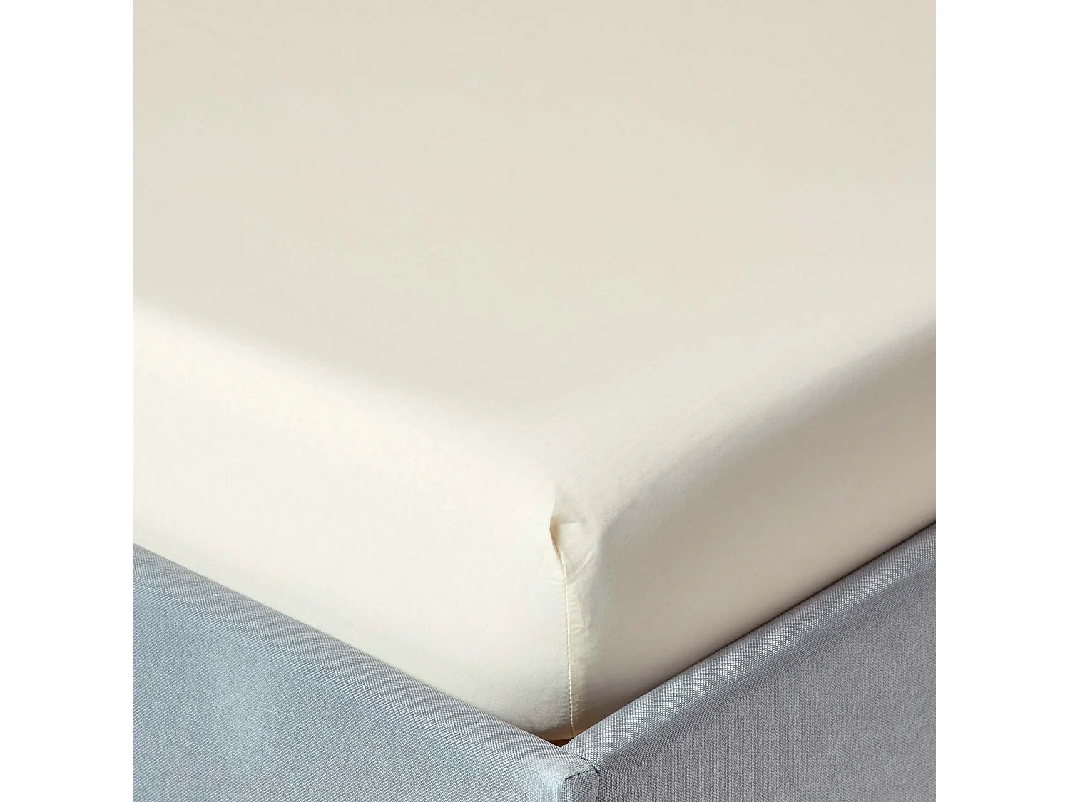 Homescapes Cream Egyptian Cotton Fitted Sheet 200 TC, Single