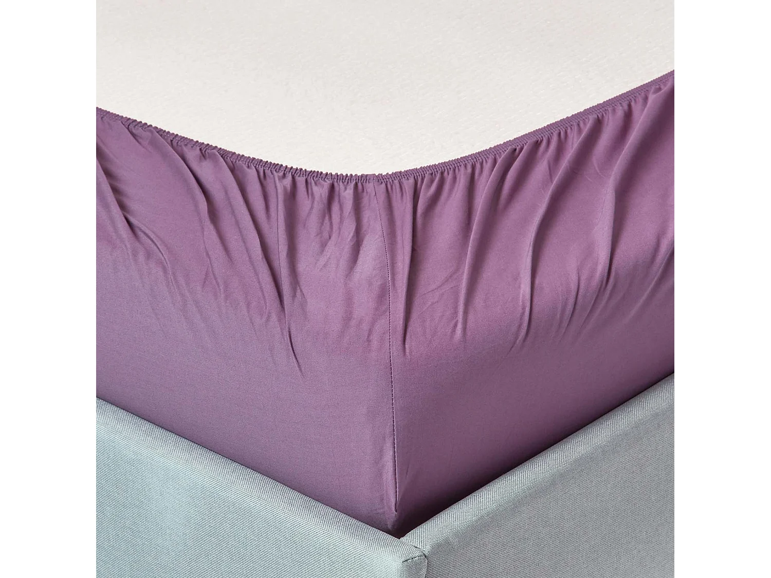 Homescapes Grape Egyptian Cotton Fitted Sheet 200 TC, Double