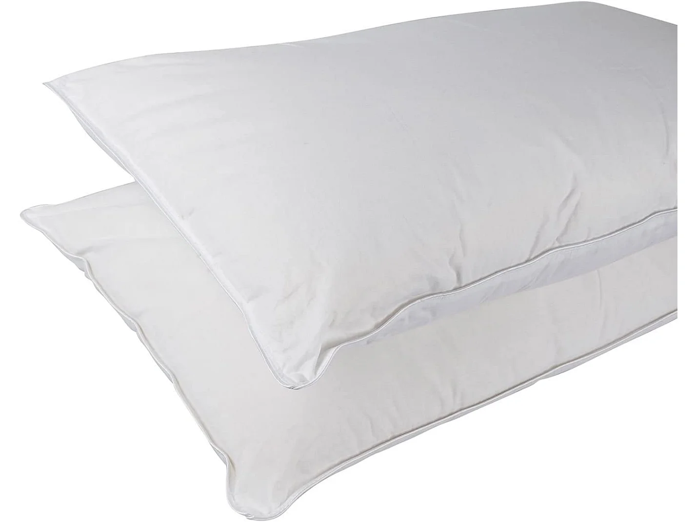 Homescapes Pure Mulberry Silk Blend Pillow Pair with 100% Cotton Casing