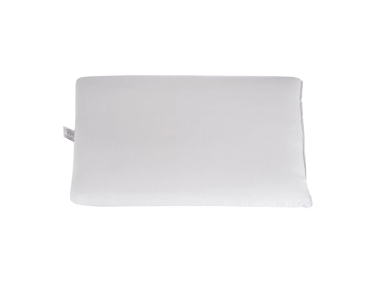 Homescapes Aloe Vera Infused Cotton Pillow Extra Fill Goose Feather and Down