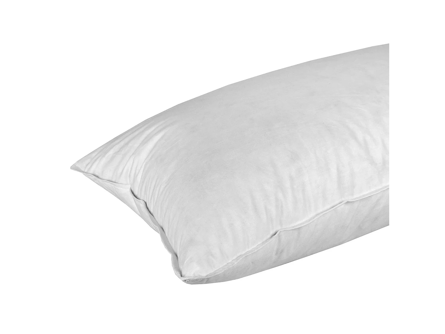 Homescapes Duck Feather Euro Continental Pillow - 40cm x 80cm (16"x32")