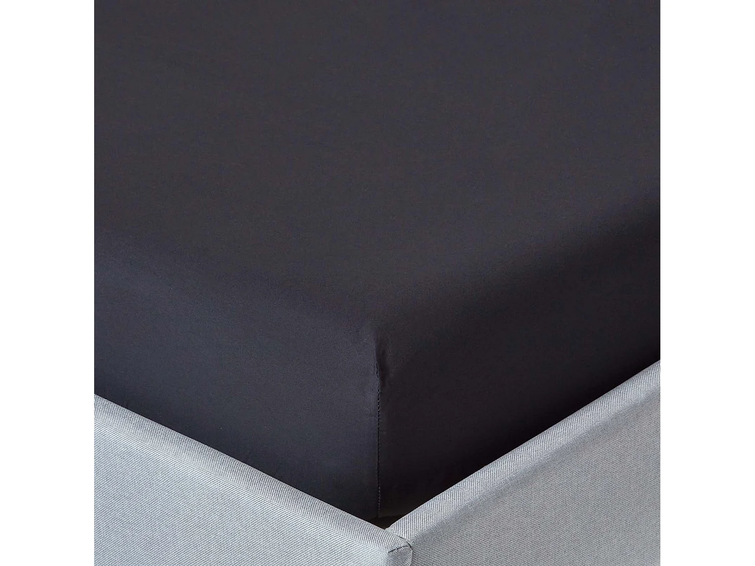 Homescapes Black Egyptian Cotton Fitted Sheet 200 TC, Double
