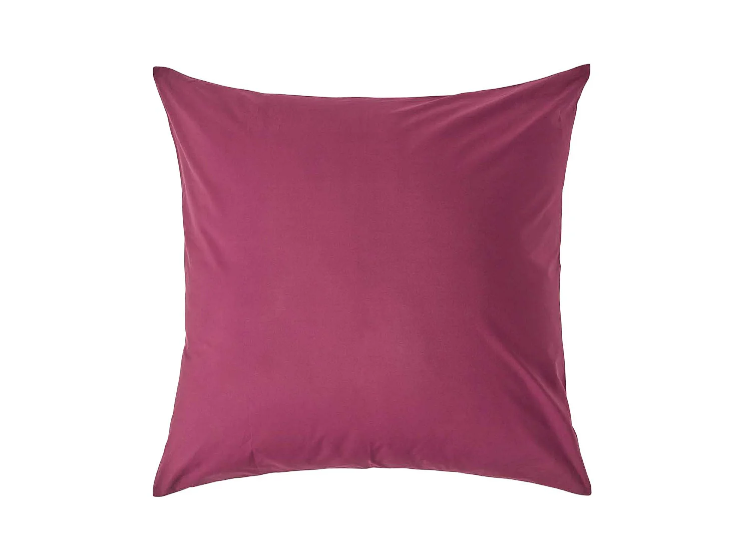 Homescapes Plum Continental Egyptian Cotton Pillowcase 200 TC, 80 x 80 cm