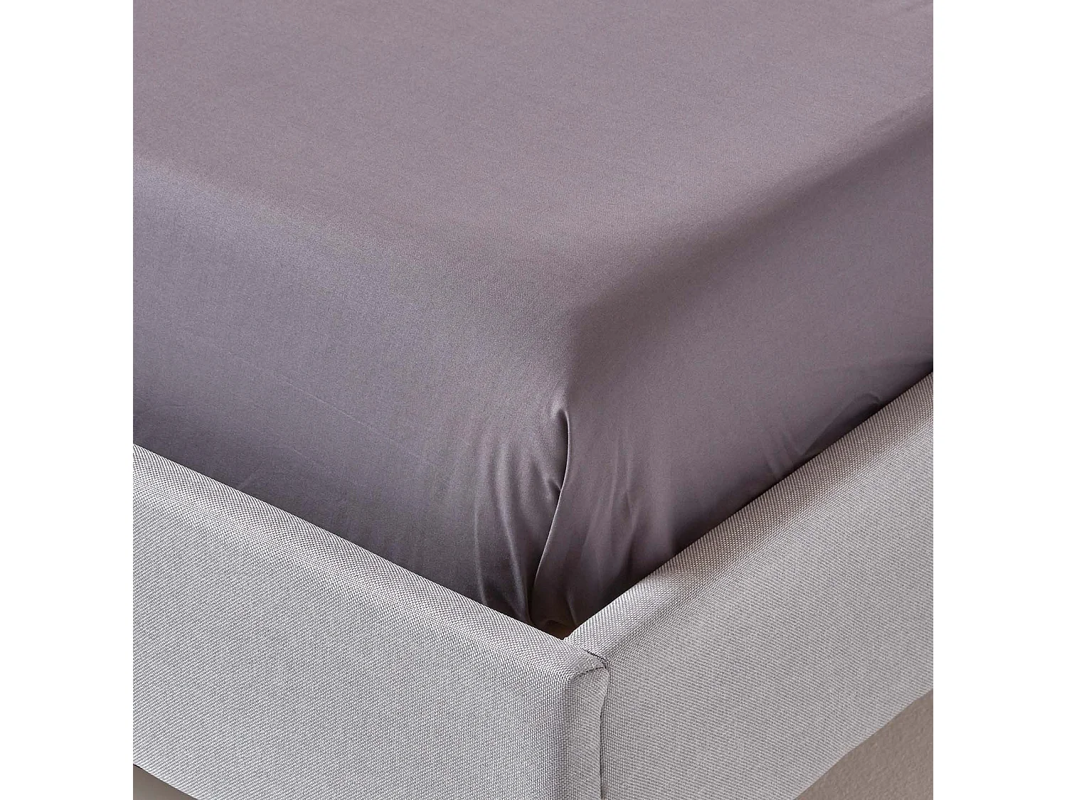 Homescapes Dark Grey Egyptian Cotton Flat Sheet 200 TC, Single
