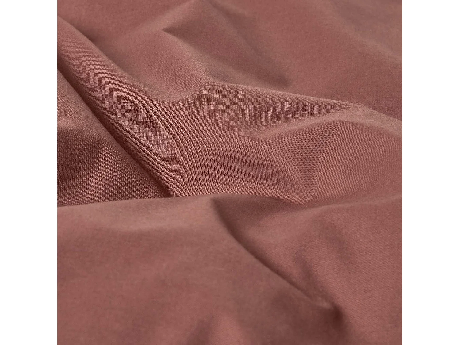 Homescapes Chocolate Egyptian Cotton Flat Sheet 200 TC, Single