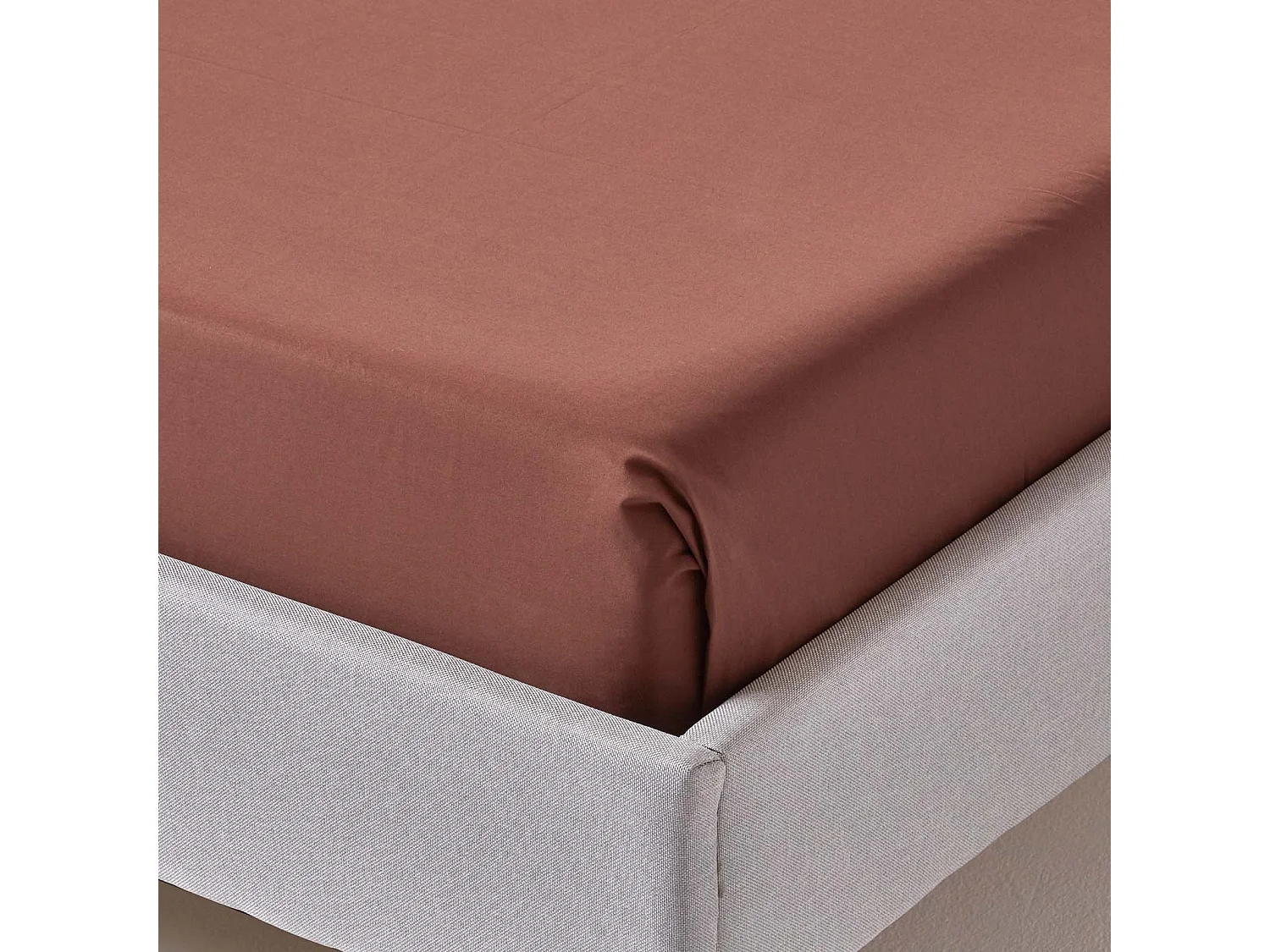 Homescapes Chocolate Egyptian Cotton Flat Sheet 200 TC, Double