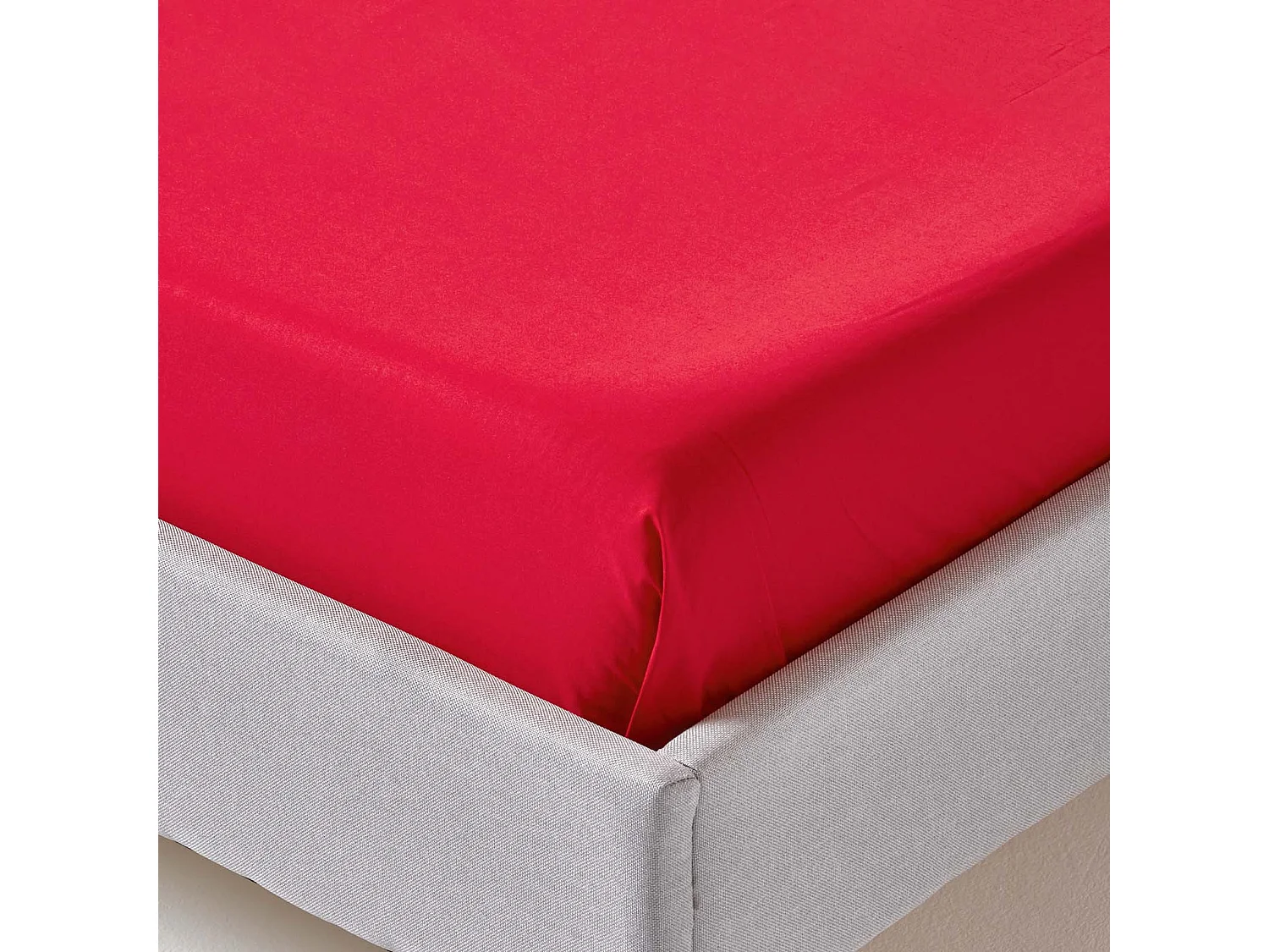 Homescapes Red Egyptian Cotton Flat Sheet 200 TC, Double