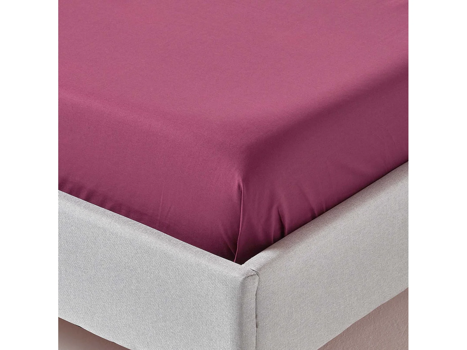 Homescapes Plum Egyptian Cotton Flat Sheet 200 TC, Single