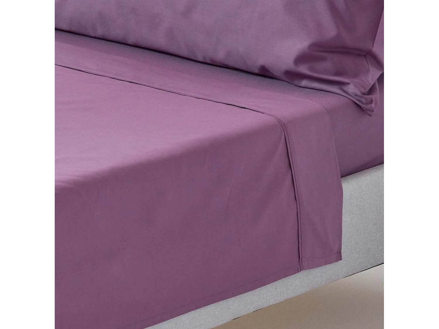Homescapes Grape Egyptian Cotton Flat Sheet 200 TC, Single