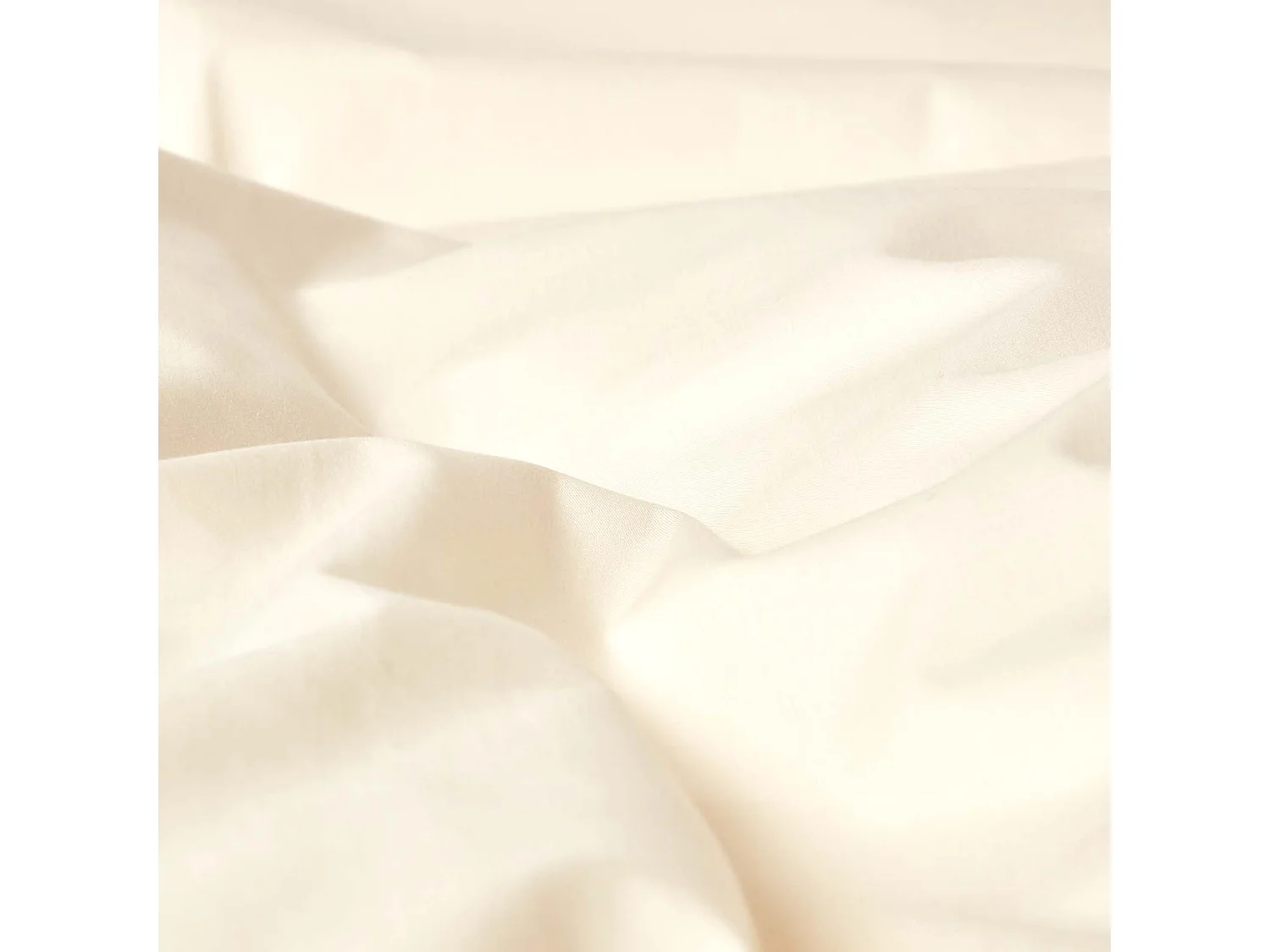Drap plat uni 100 % coton égyptien 200 fils Crème 275 x 275 cm - HOMESCAPES