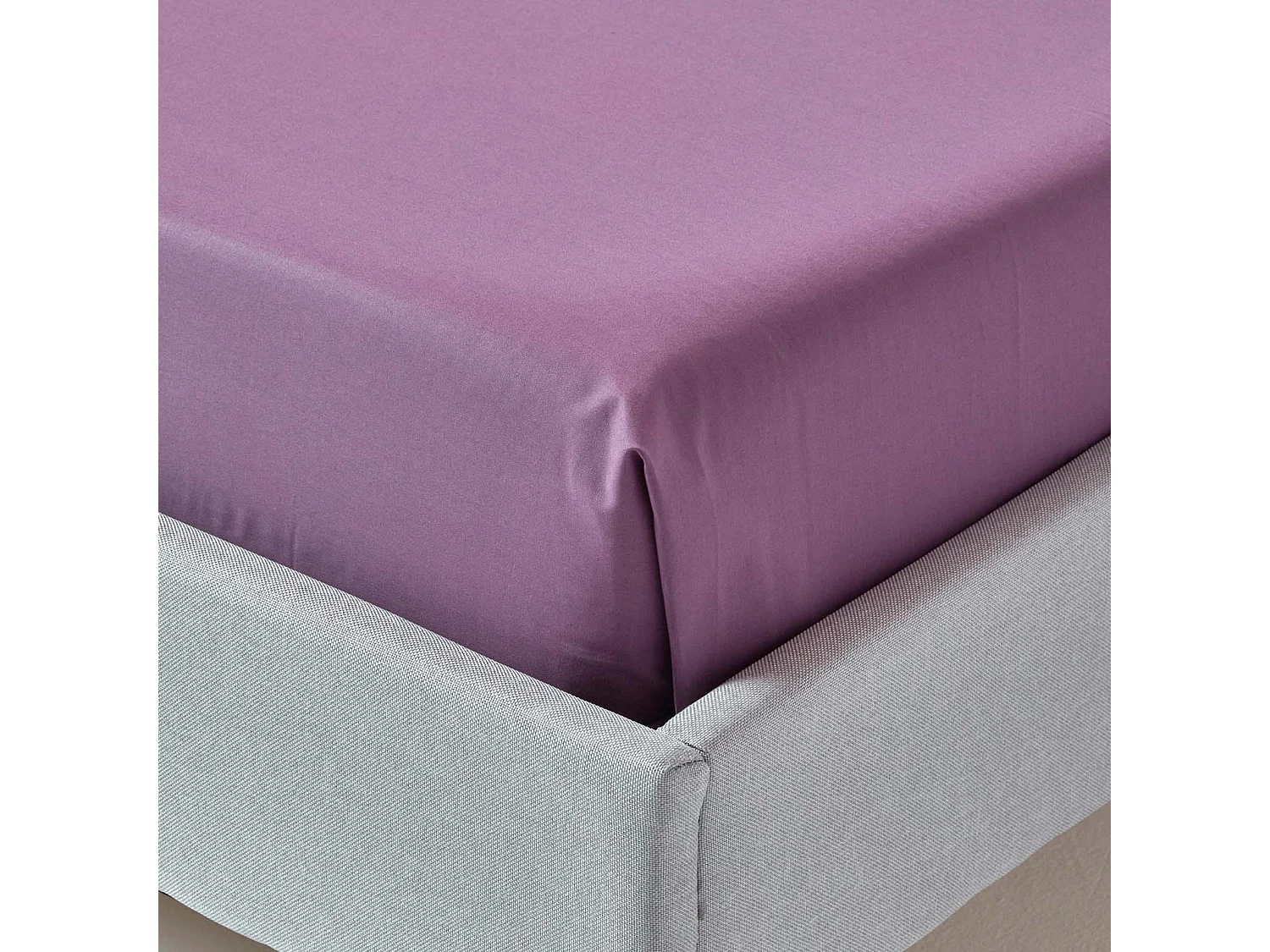 Homescapes Grape Egyptian Cotton Flat Sheet 200 TC, Super King Size