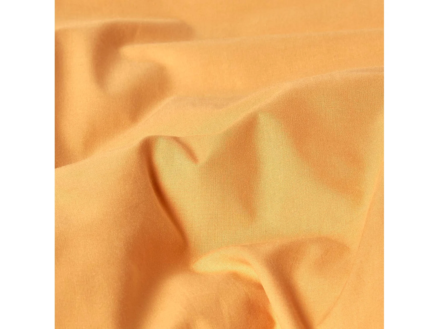 Drap plat uni 100 % coton égyptien 200 fils coloris Jaune Moutarde 240 x 275 cm  - HOMESCAPES