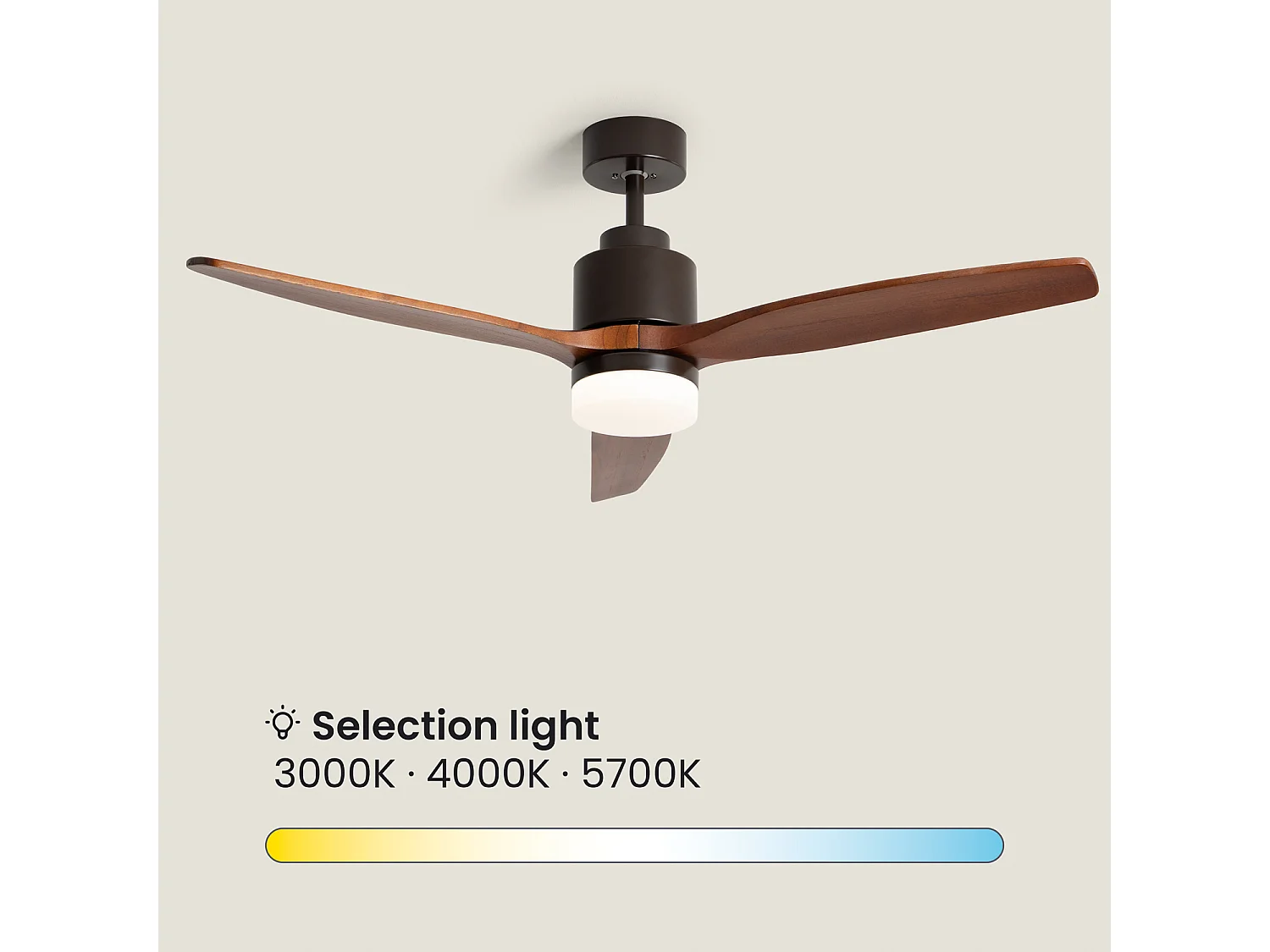 Ventilador de Techo con luz Silencioso DC Forest EVO