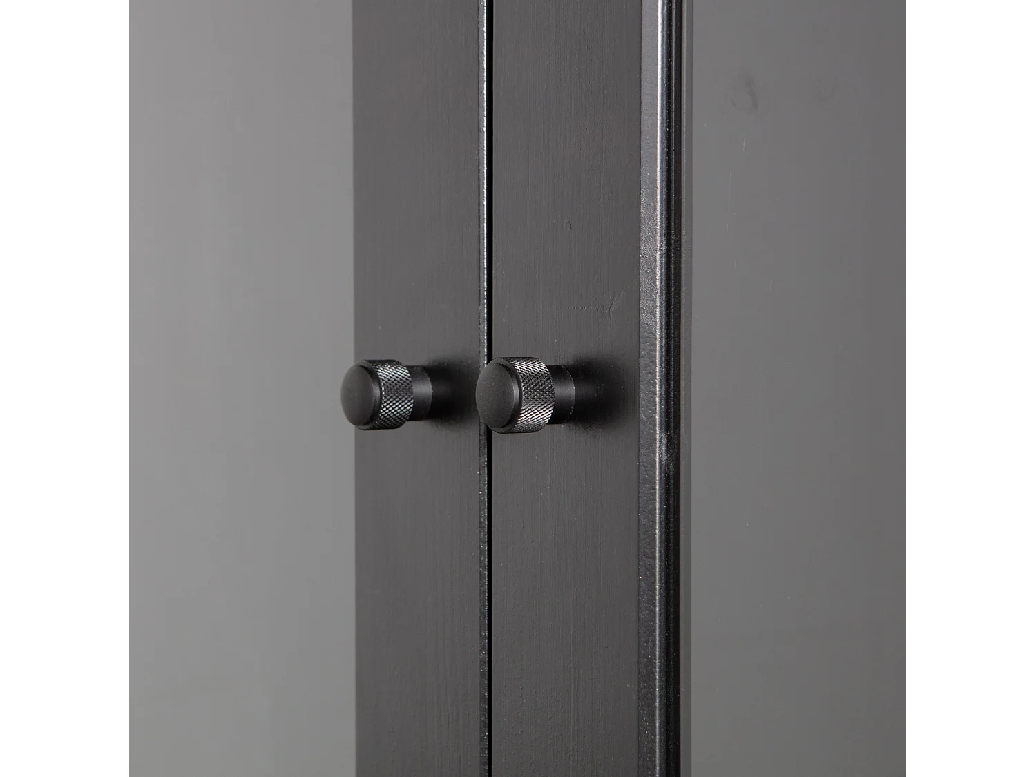 Vitrine basse 2 portes en pin et verre XAM