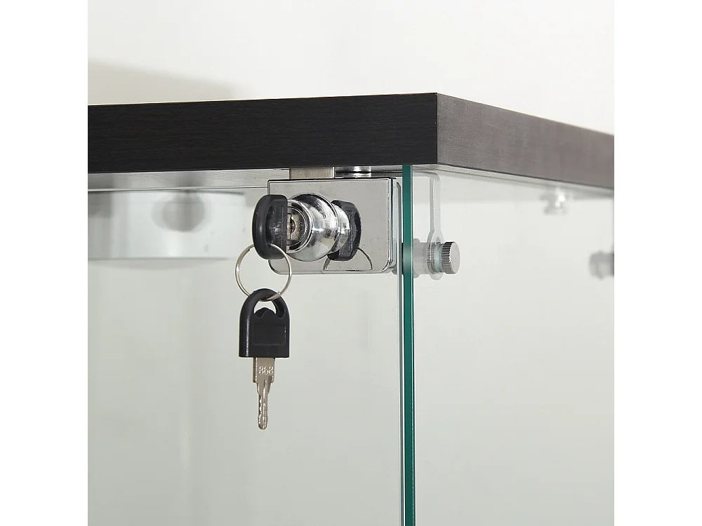 Affichage transparent à 2 niveaux - 86.2 x 40.3 x 36.5 cm - Porte simple avec éclairage LED - Verre trempé - Noir